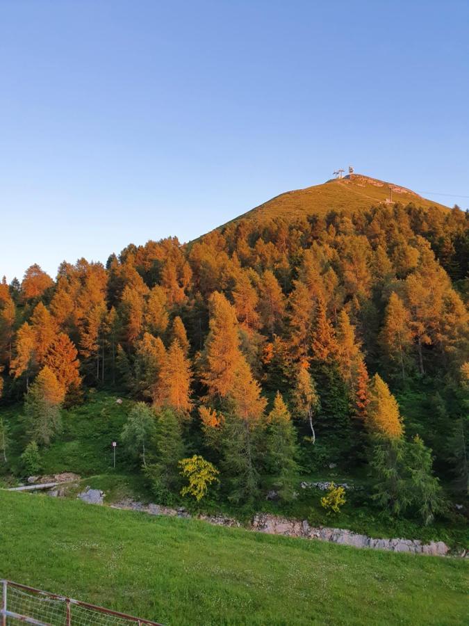 Hôtel Rifugio Campelli à Barzio Extérieur photo